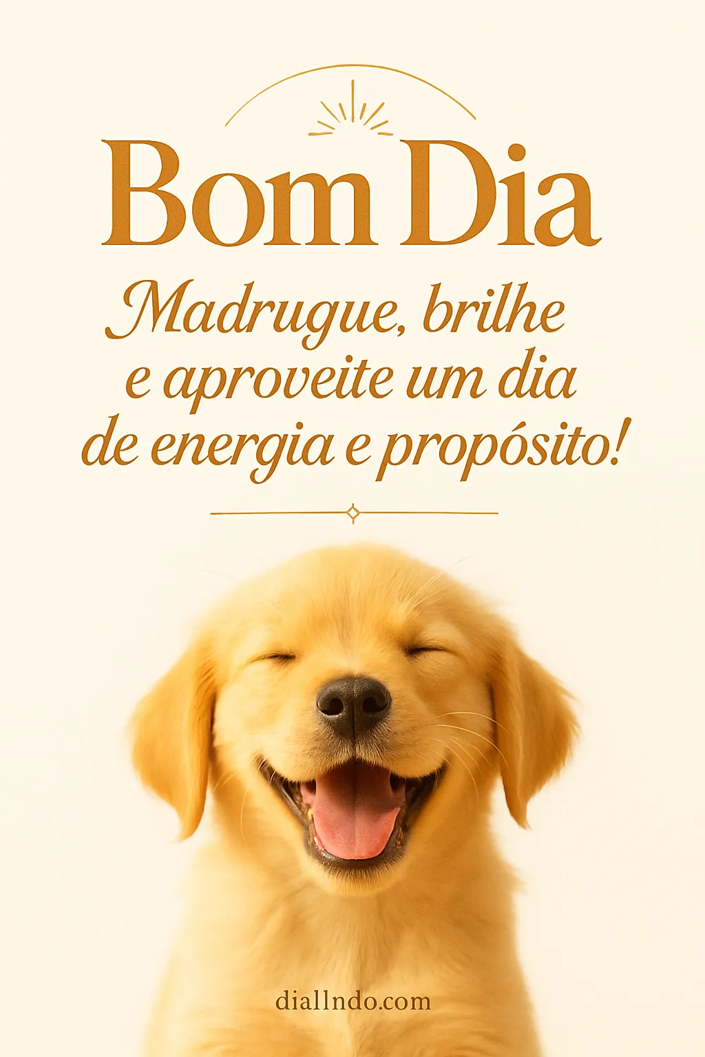 Madruga, Brilha, Conquista