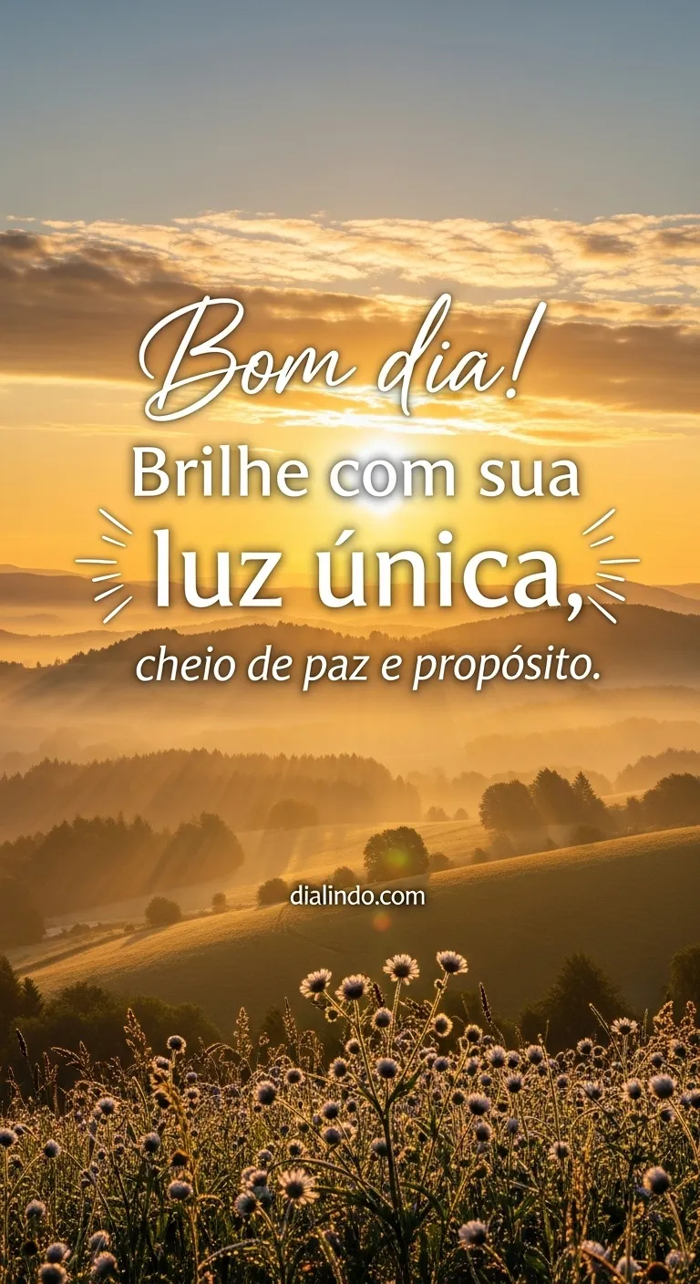 Luz Própria, Paz e Propósito