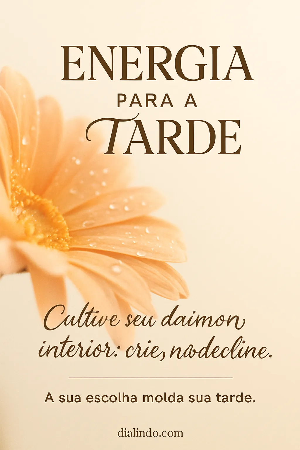 Daimon Criador: Escolha Sua Tarde