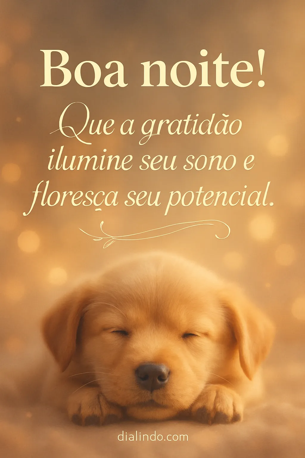 Gratidão: Florescer no Sono