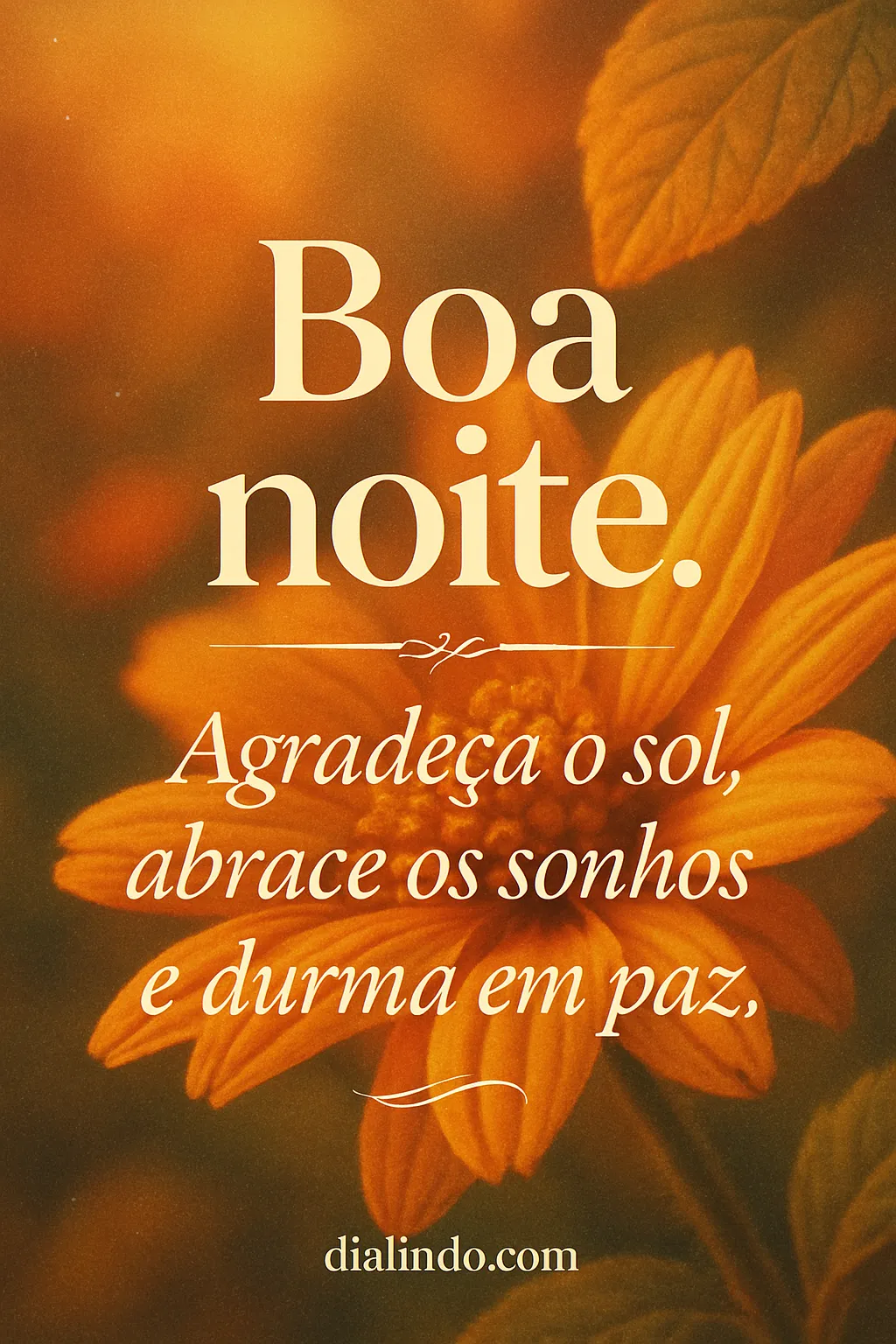 Gratidão Solar, Sonhos Serenos