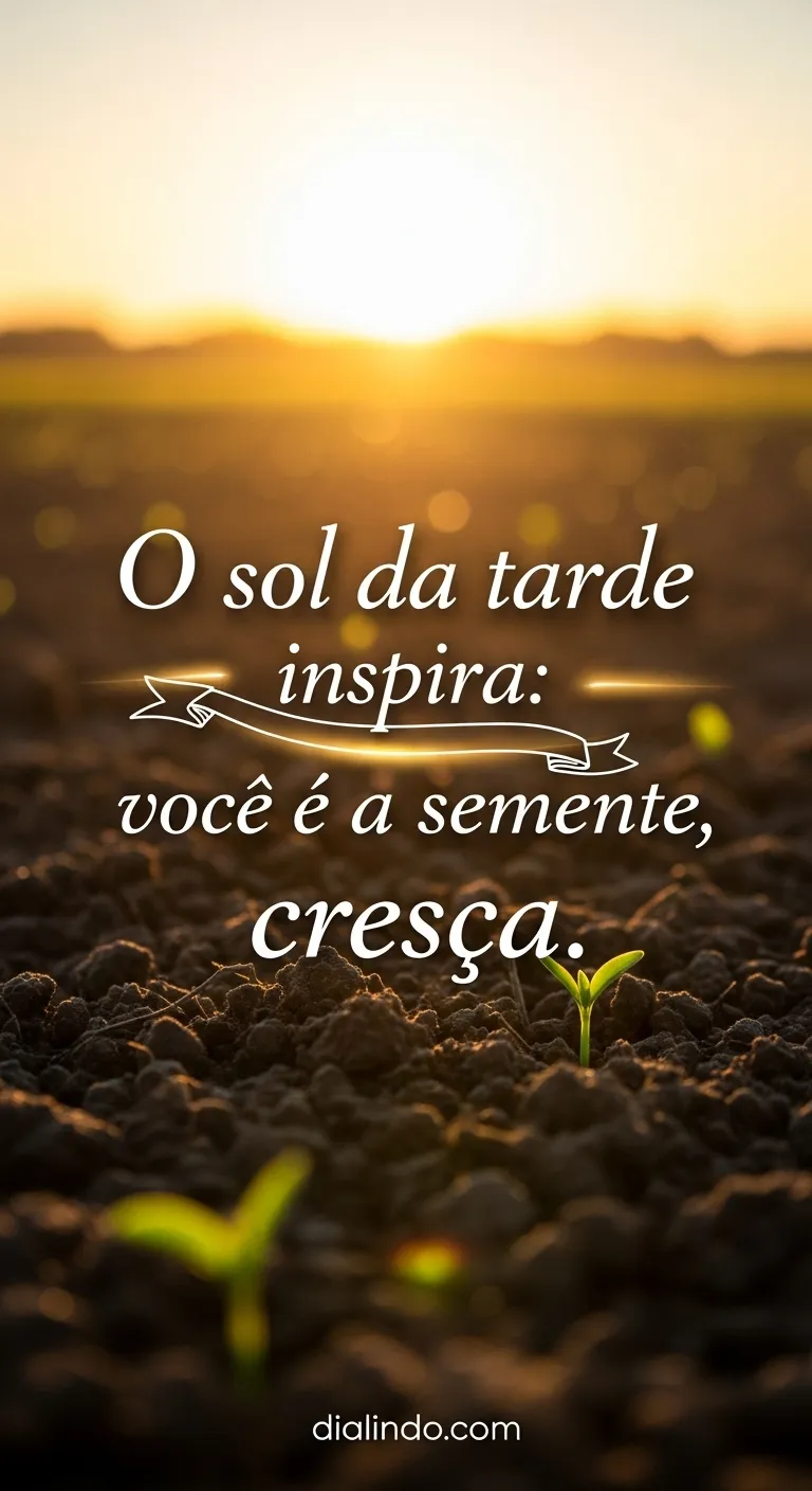 Semente Solar: Cresça