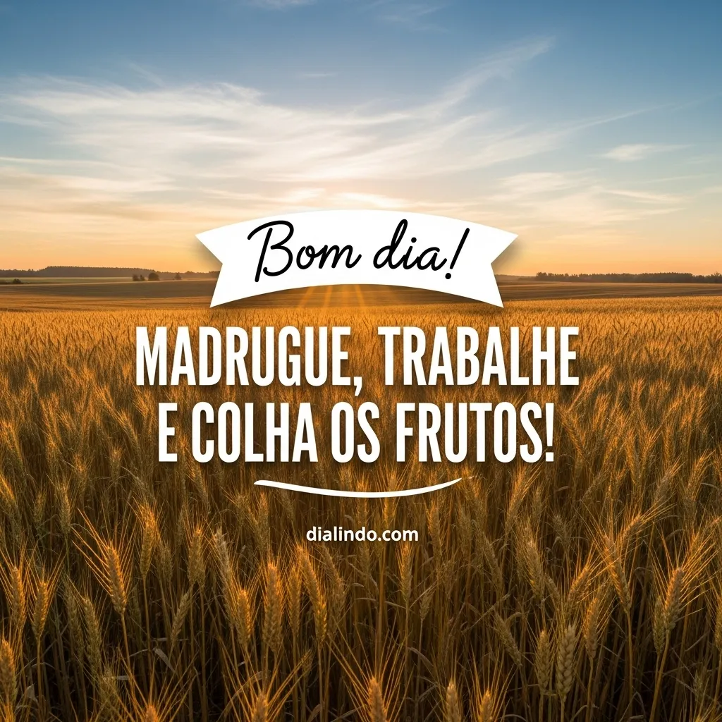 Colheita do Madrugador