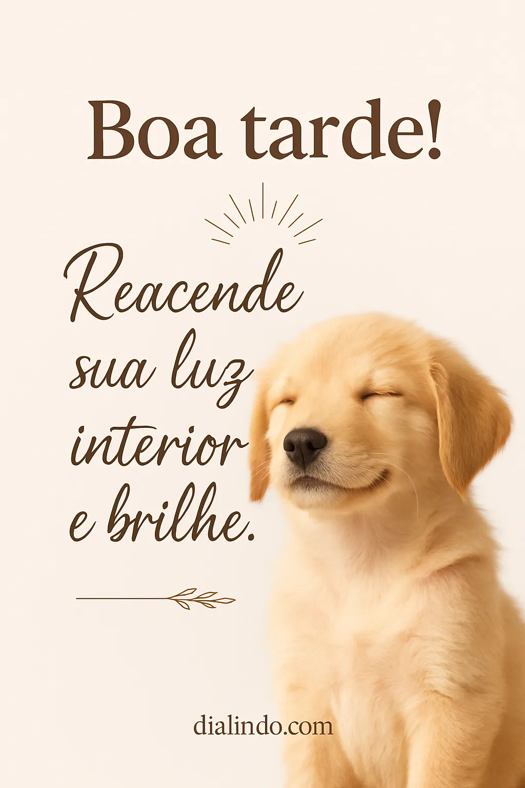 Reacende Seu Brilho Interior