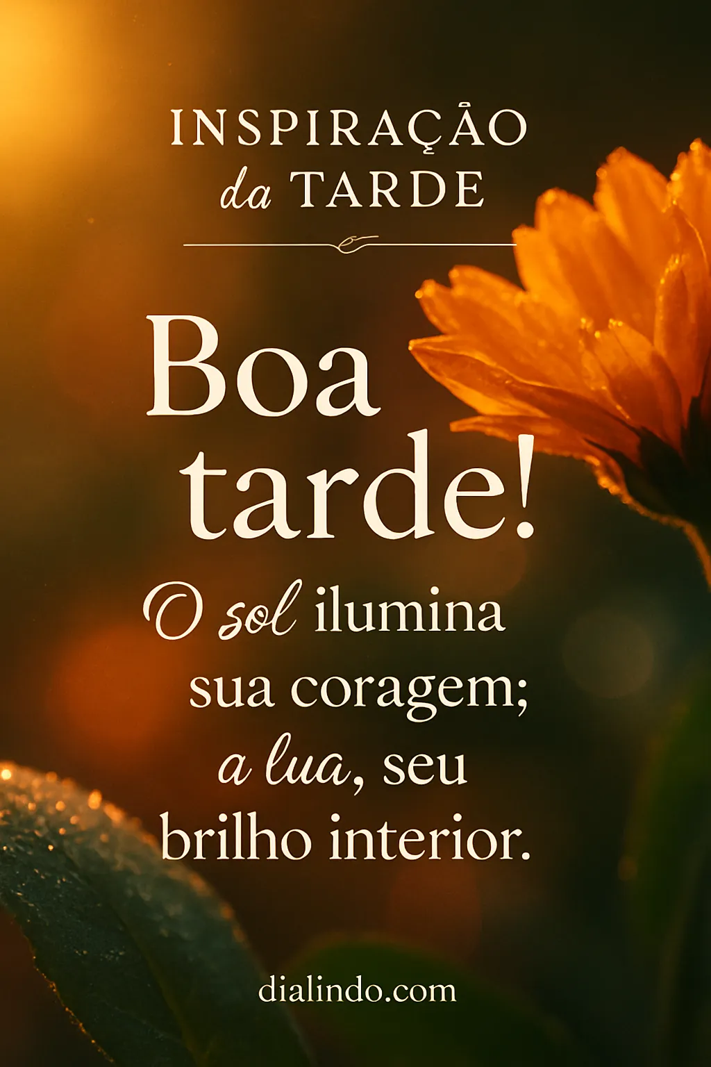 Sol da Coragem, Lua do Brilho