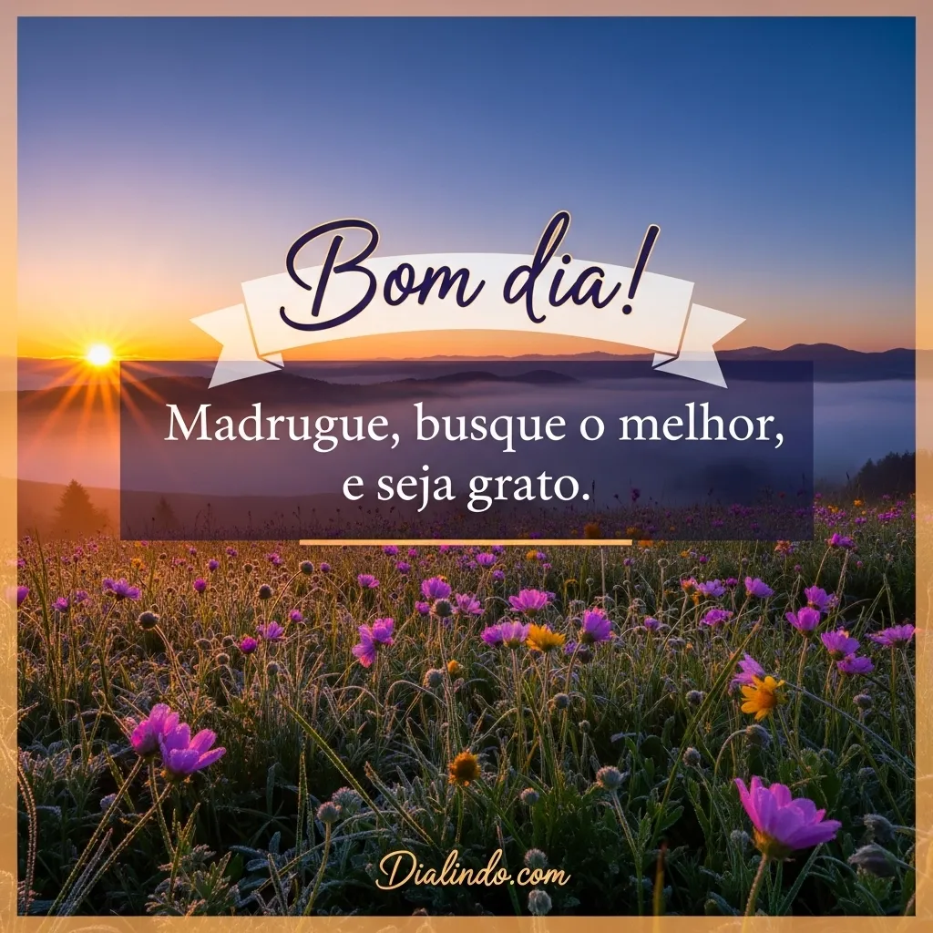 Gratidão Matinal Produtiva