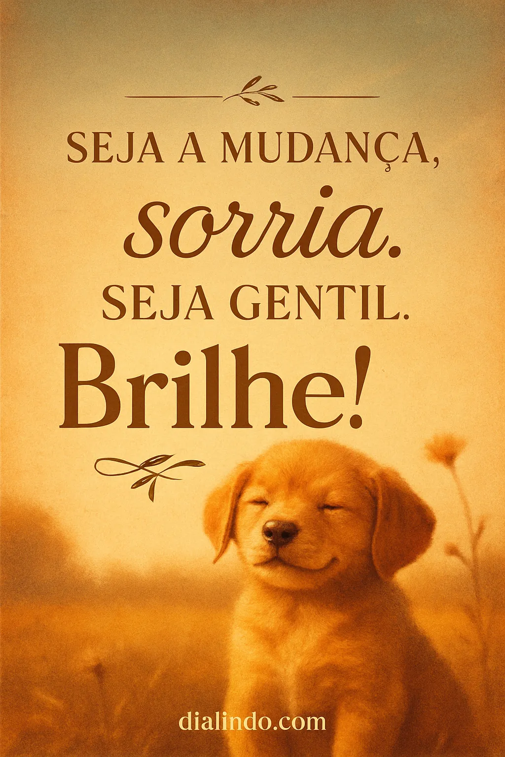 Brilho Gentil Transformador