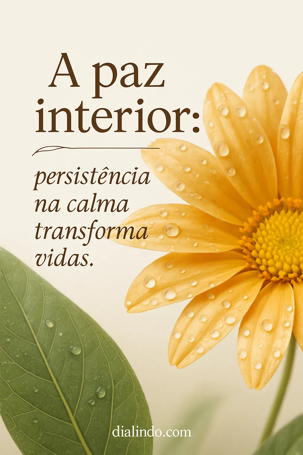 Calma Persistente: Vidas Transformadas