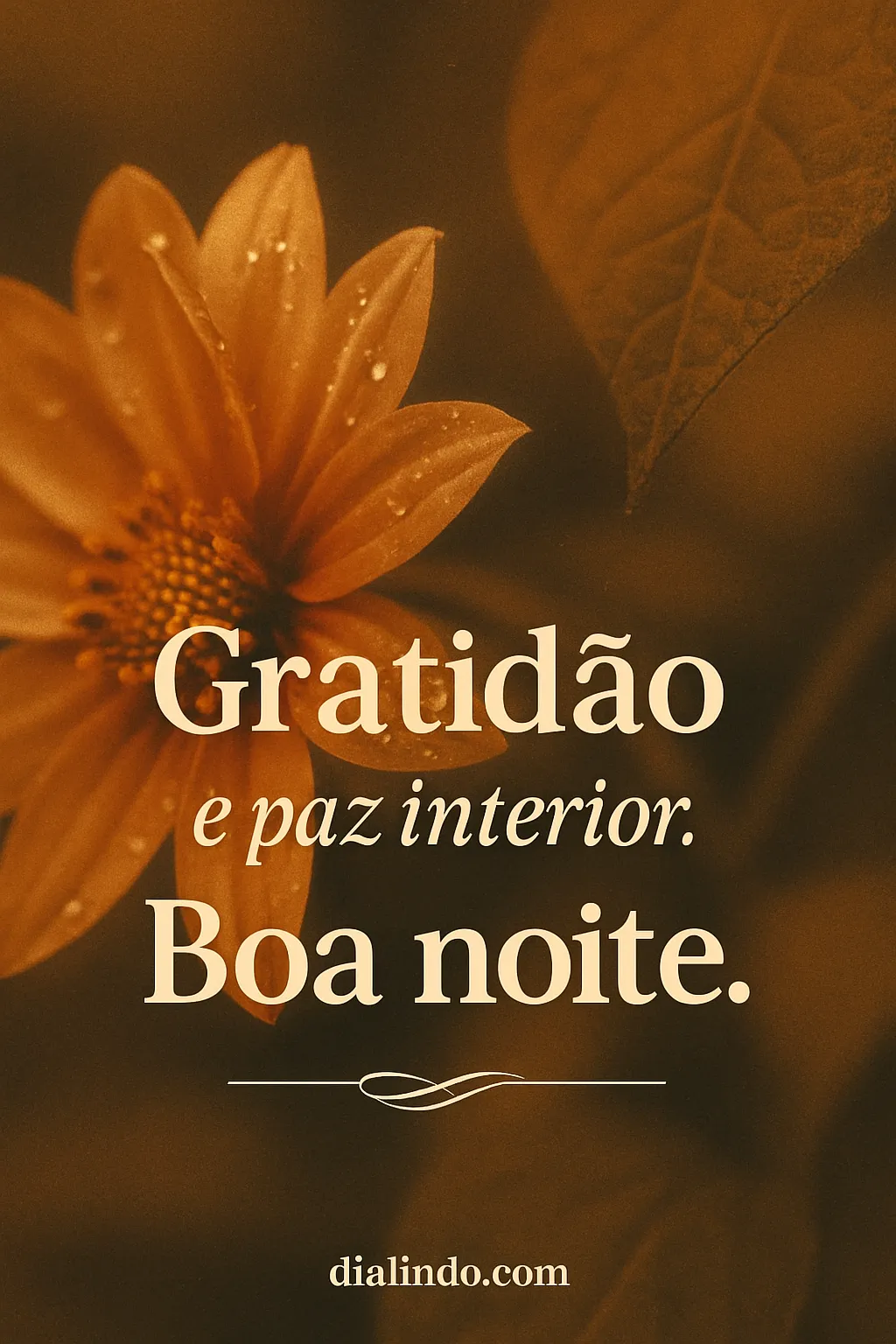 Serenidade Noturna Grata