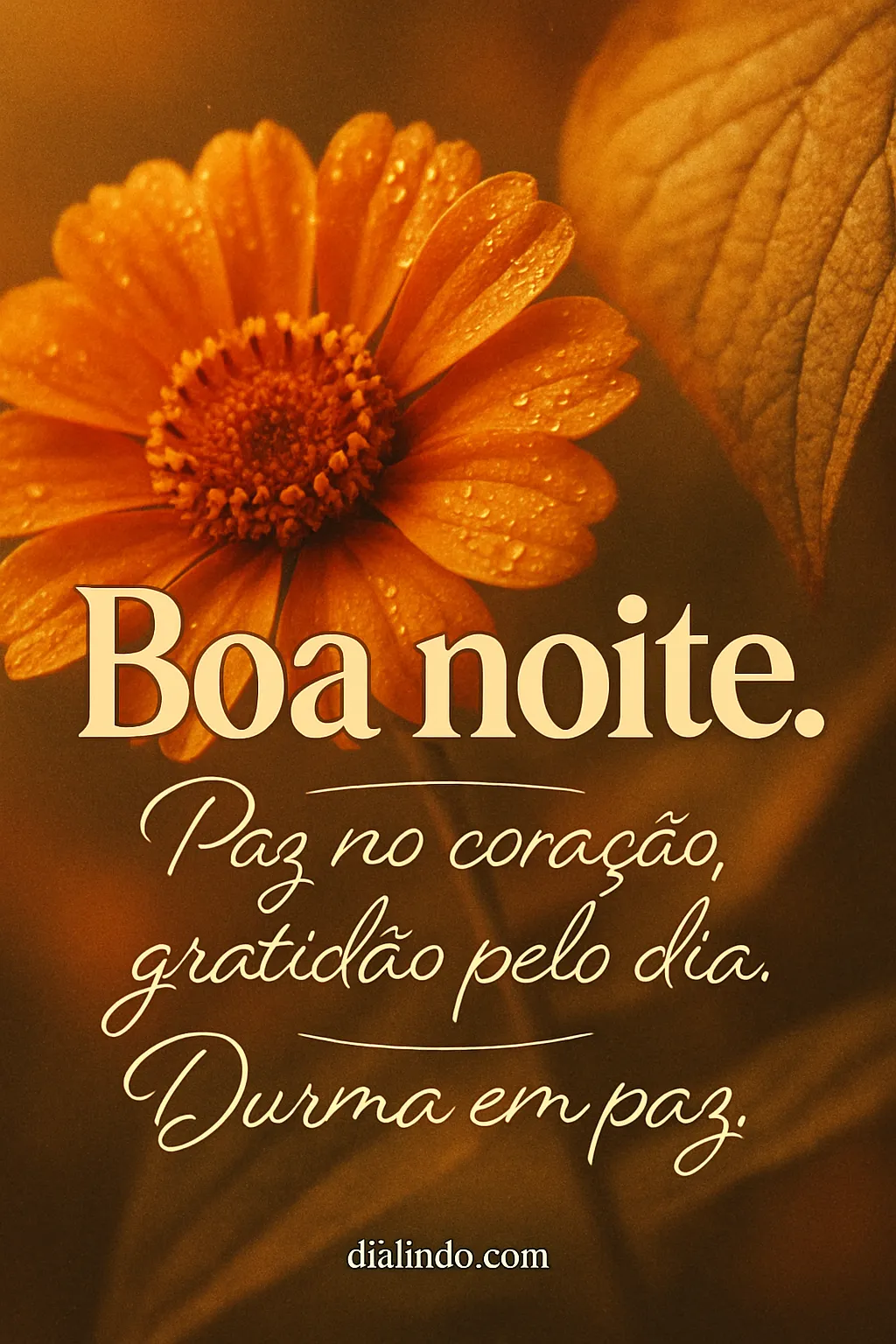 Gratidão e Serenidade Noturna