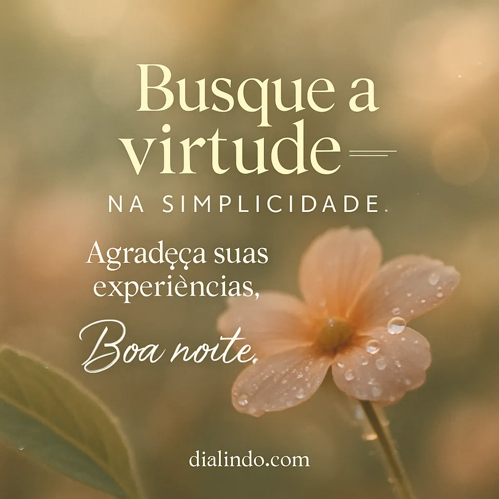 Gratidão Simples, Boa Noite