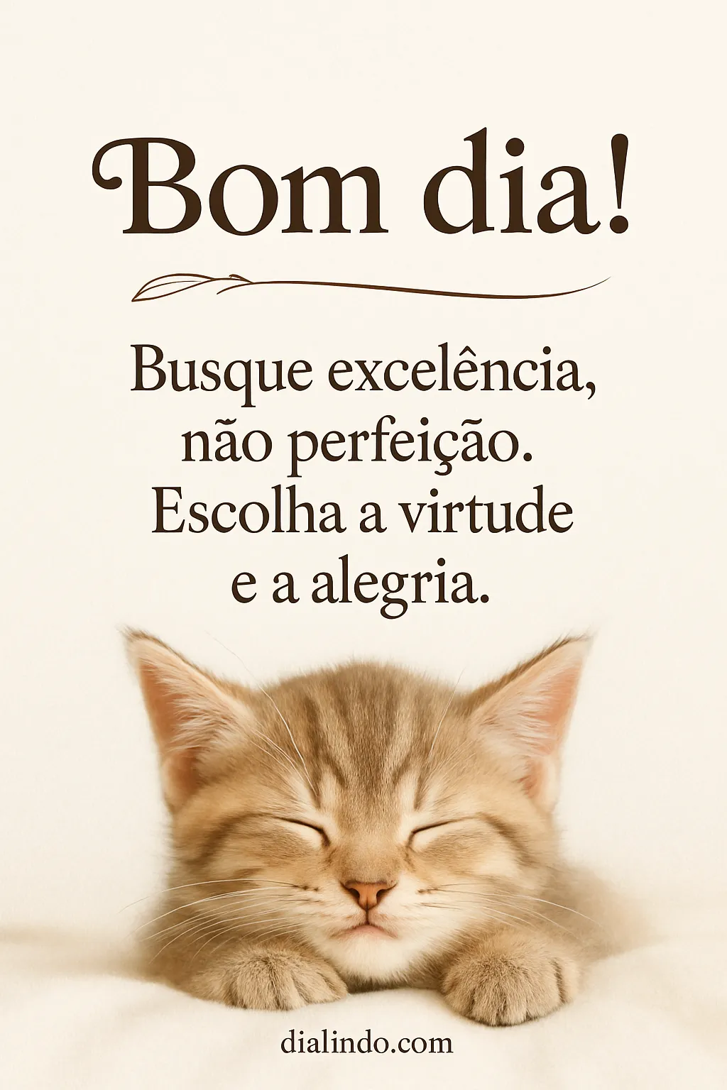 Excelência Virtuosa e Alegria