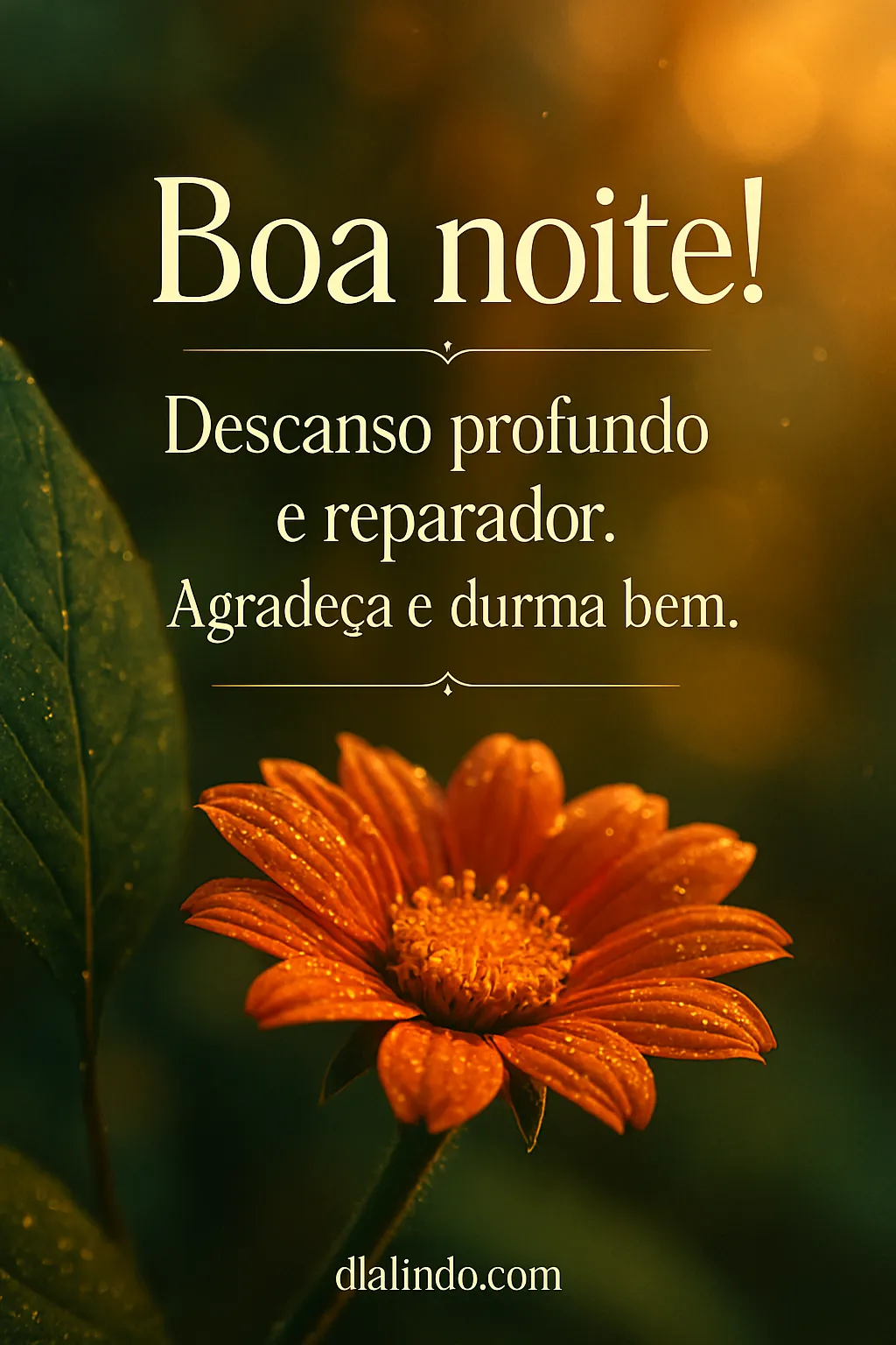 Gratidão Noturna, Sono Reparador