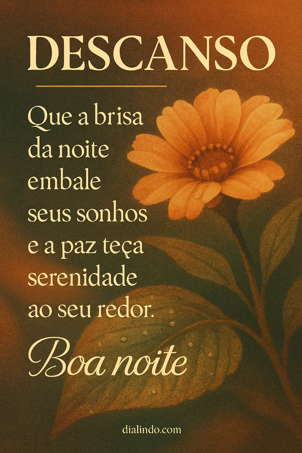 Sonhos Acalentados pela Noite