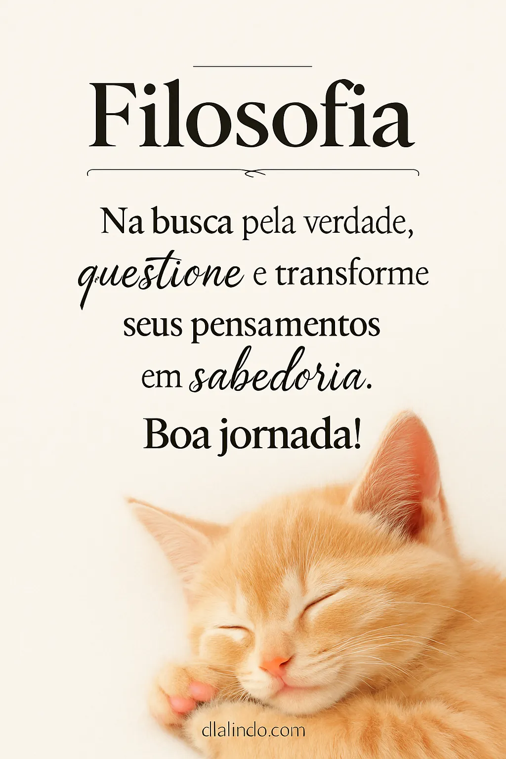 Transformando Questões em Sabedoria