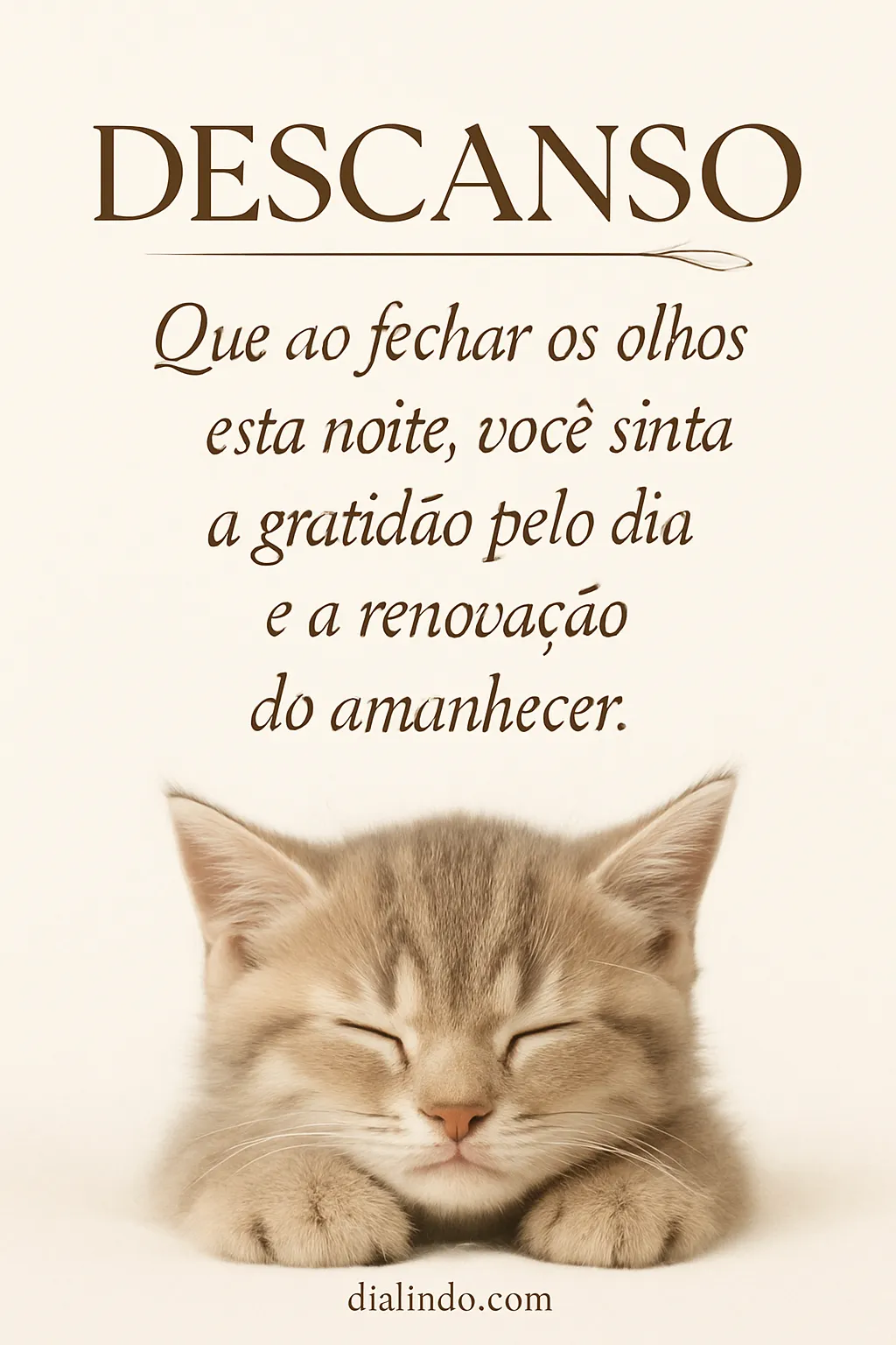 Gratidão na Noite, Renascimento ao Amanhecer