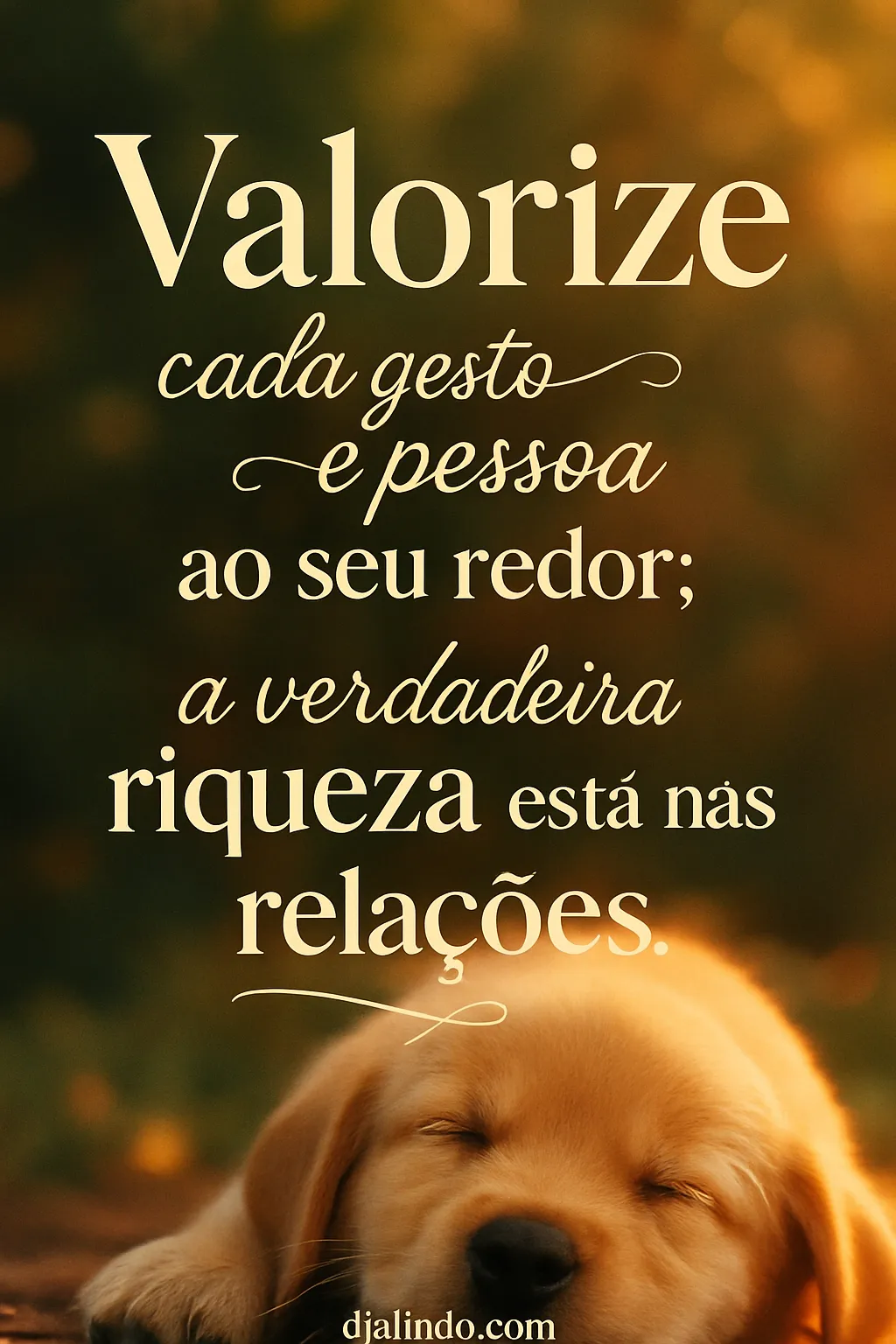 Riqueza nas Relações Verdadeiras