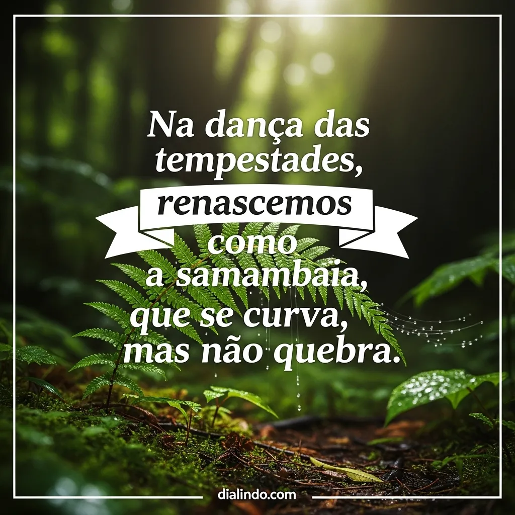 Renascendo na Tempestade da Vida