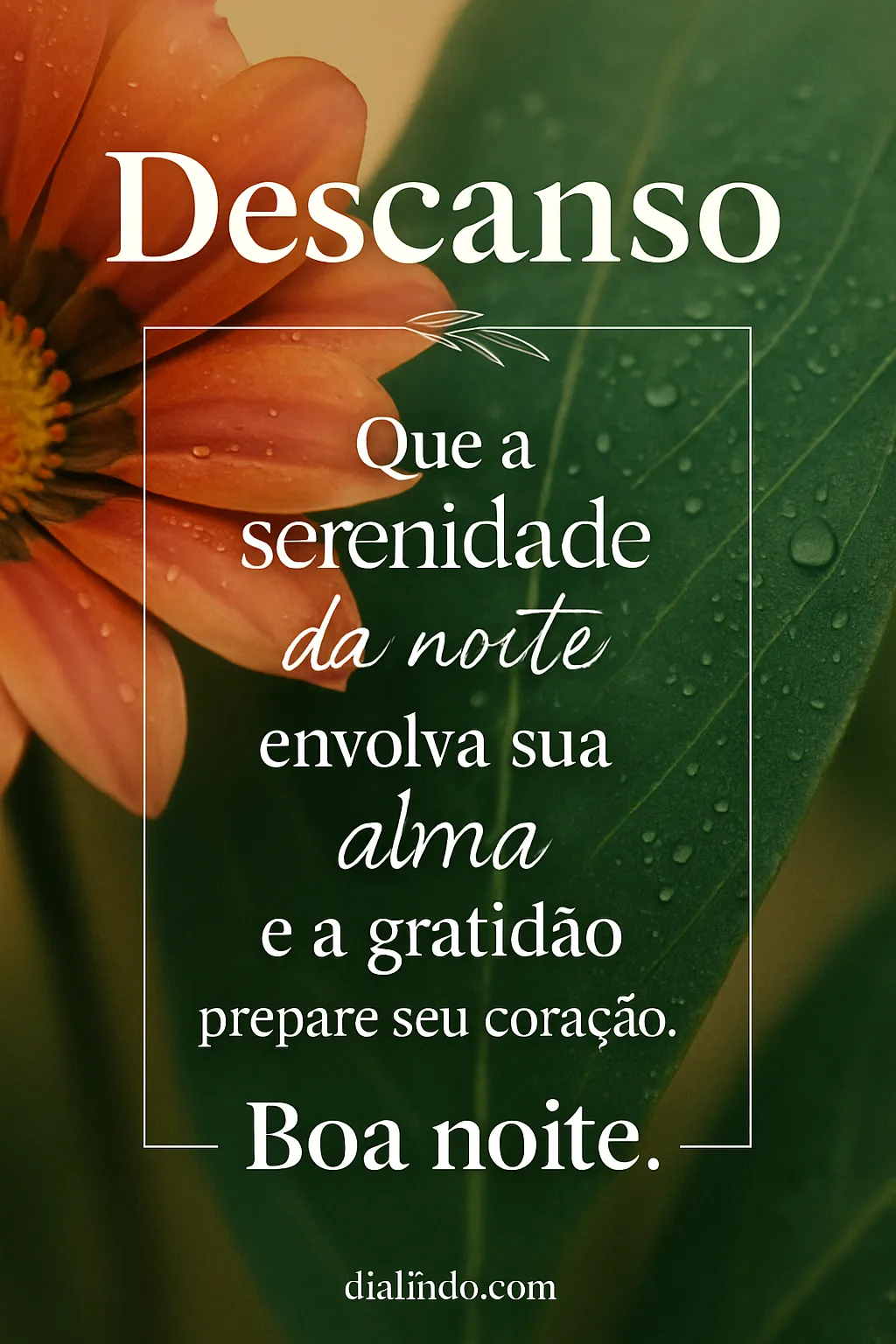 Serenidade e Gratidão Noturna