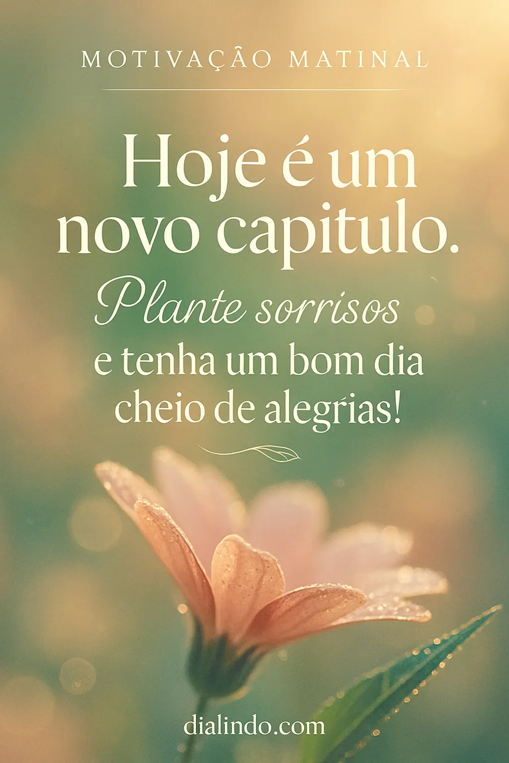 Sorrisos: Cultive Alegria Diária