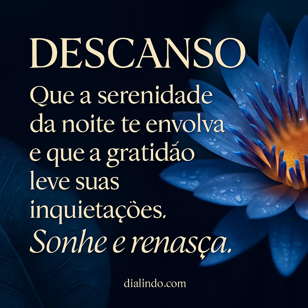 Noite de Serenidade e Renascer