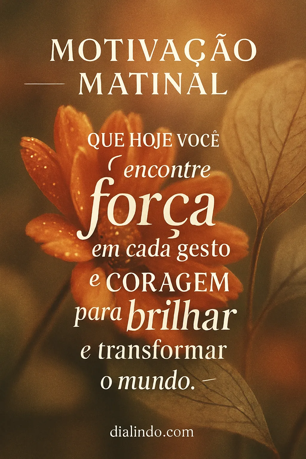 Coragem para Brilhar e Transformar