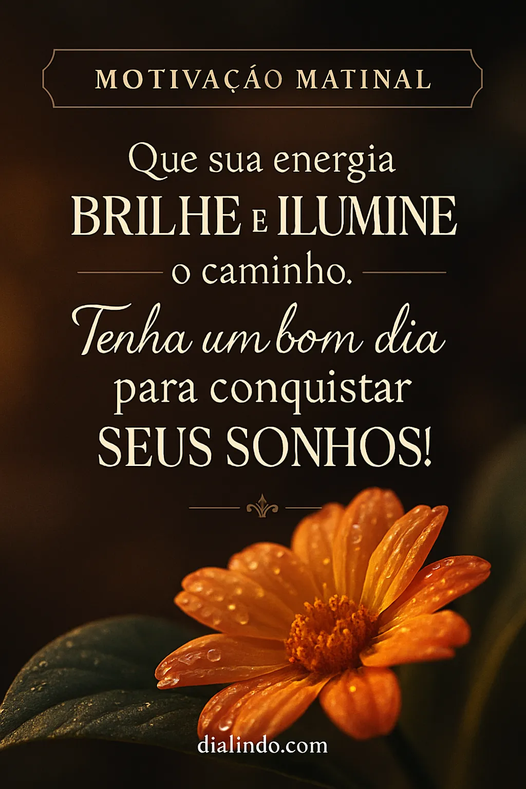 Brilhe e Conquiste Seus Sonhos