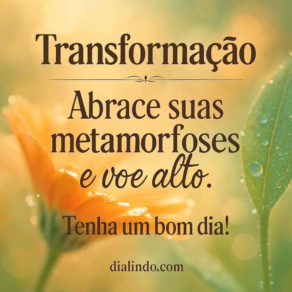 Transforme-se e Alce Voo