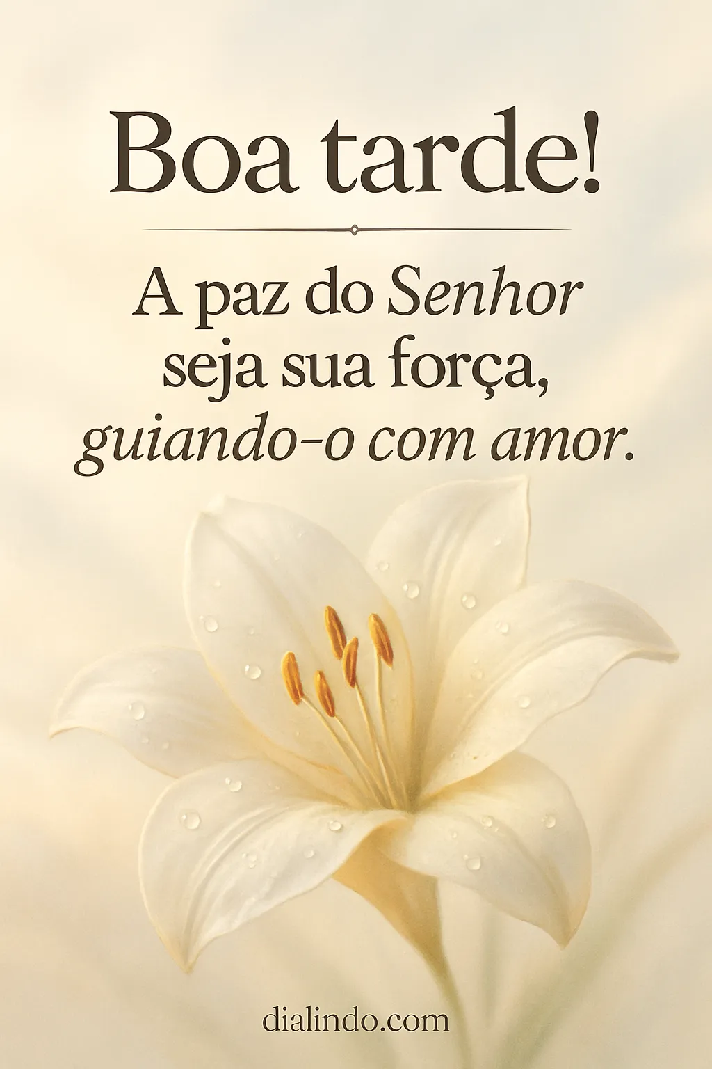 Amor e Paz: Rumo Guiado