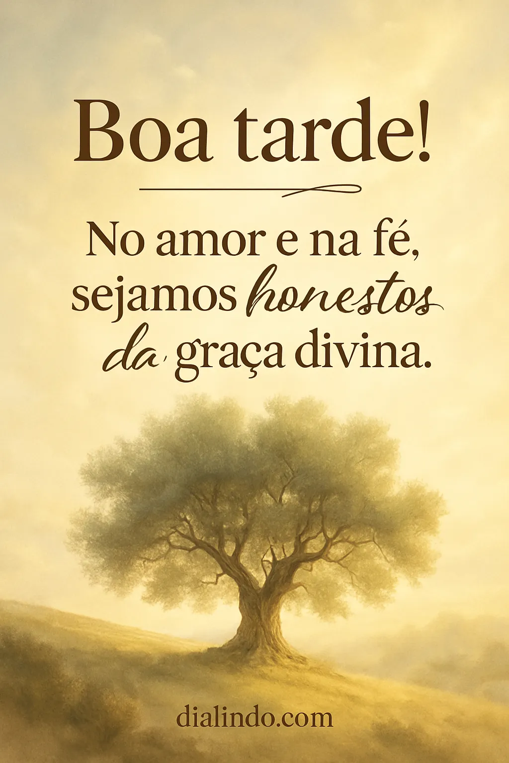 Espelhos da Graça Honesta