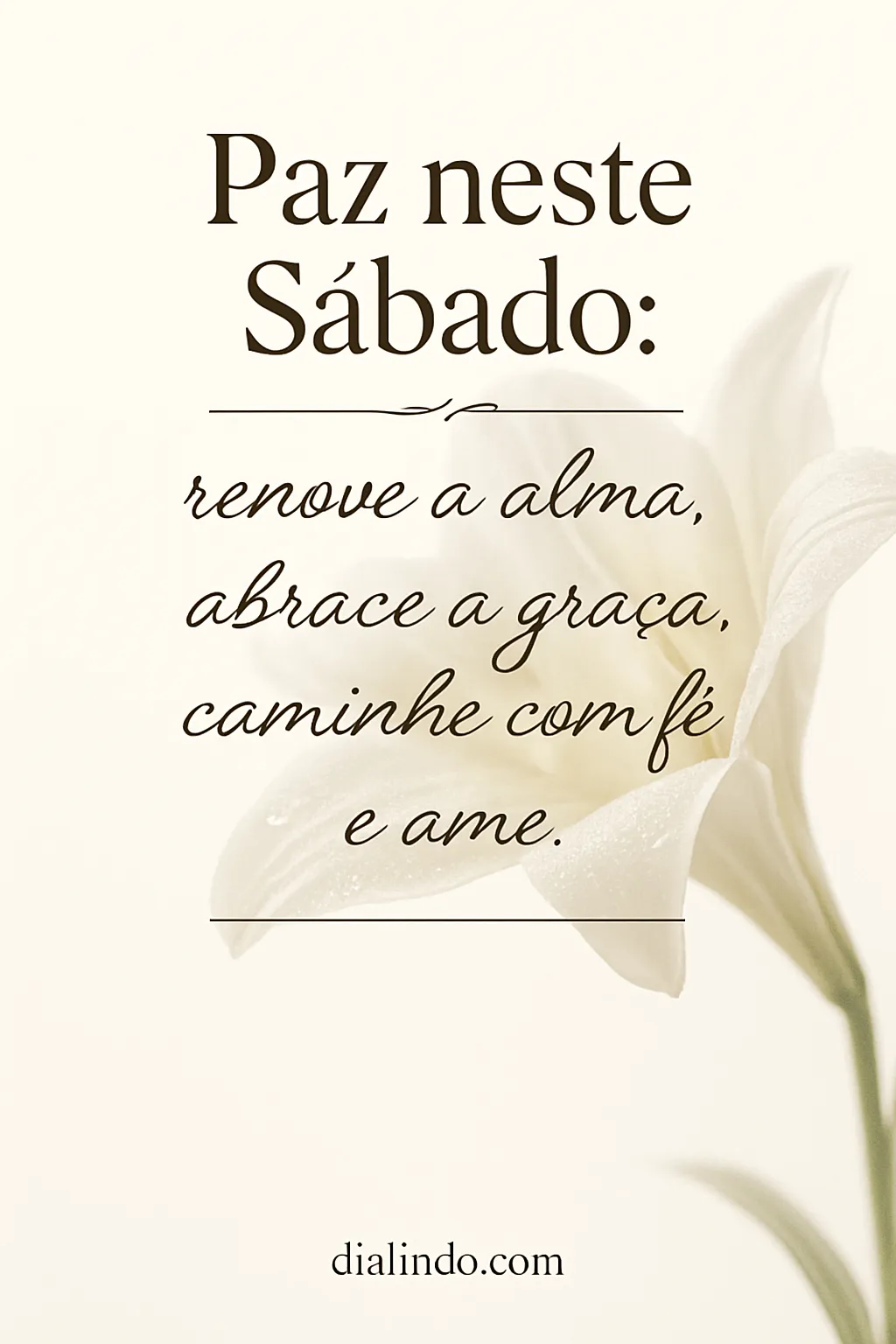 Sábado: Alma, Graça, Amor.
