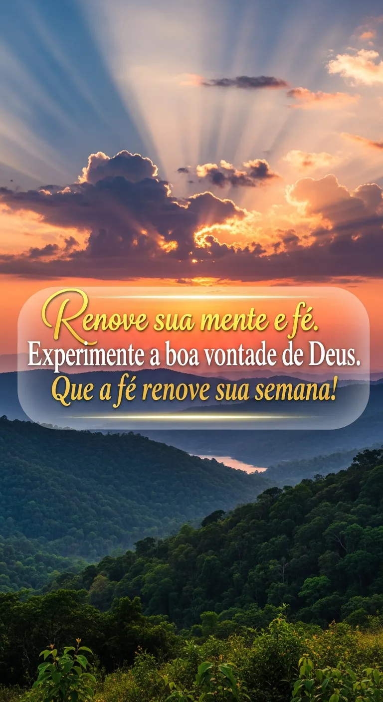 Boa Vontade Renovada Semanalmente