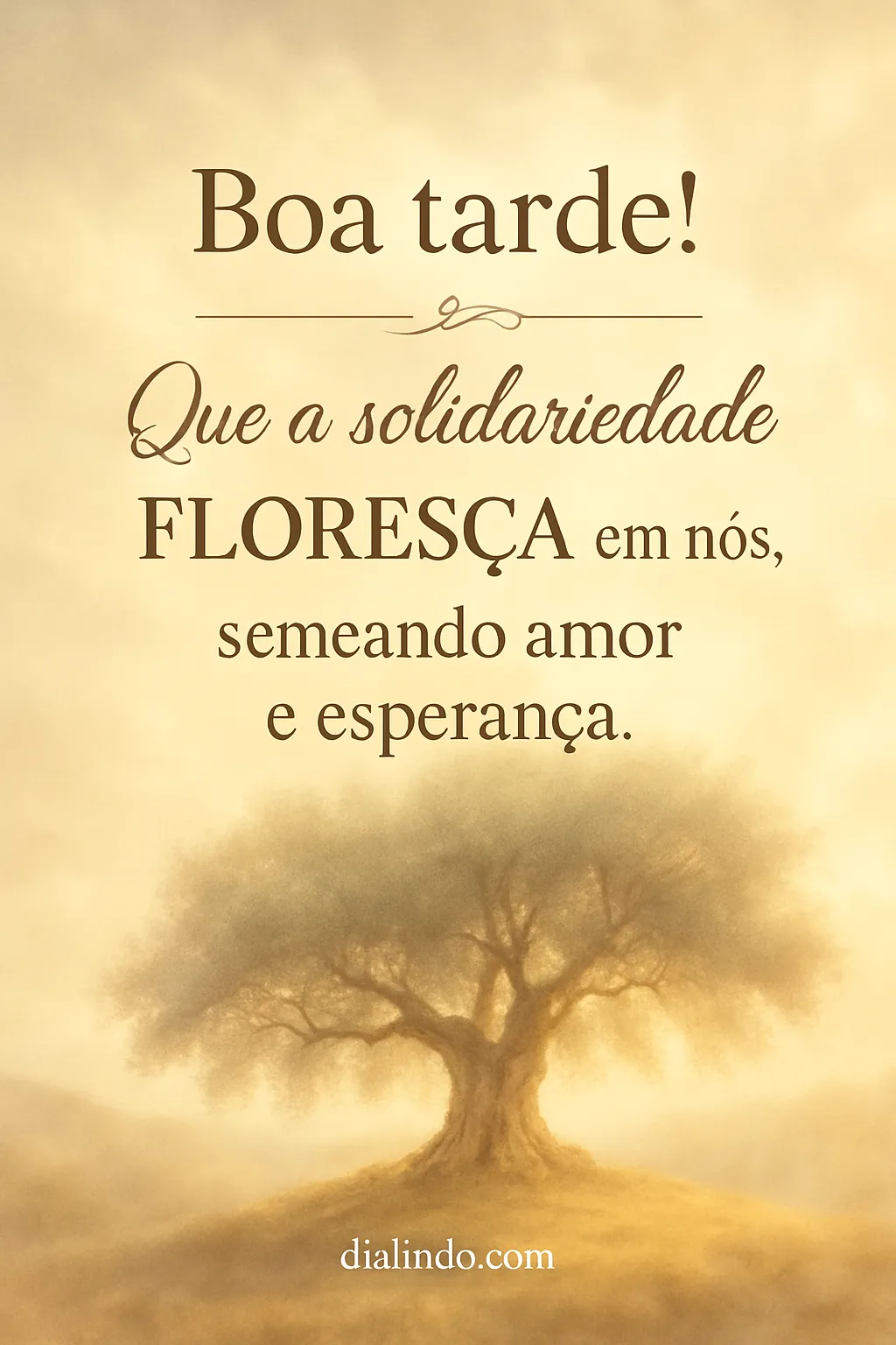 Flores de Amor Solidário